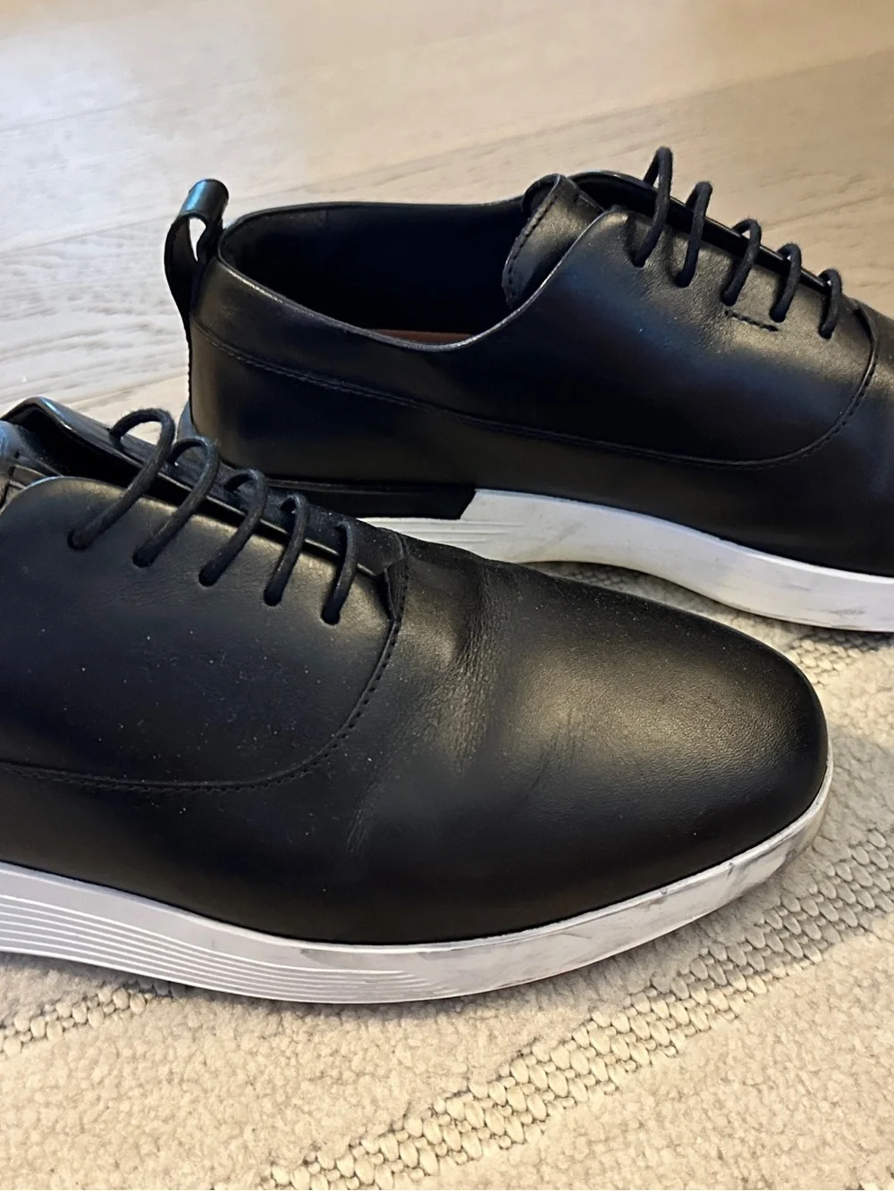 Wolf and Shephered sleek black